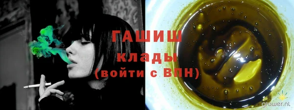 твердый Абаза